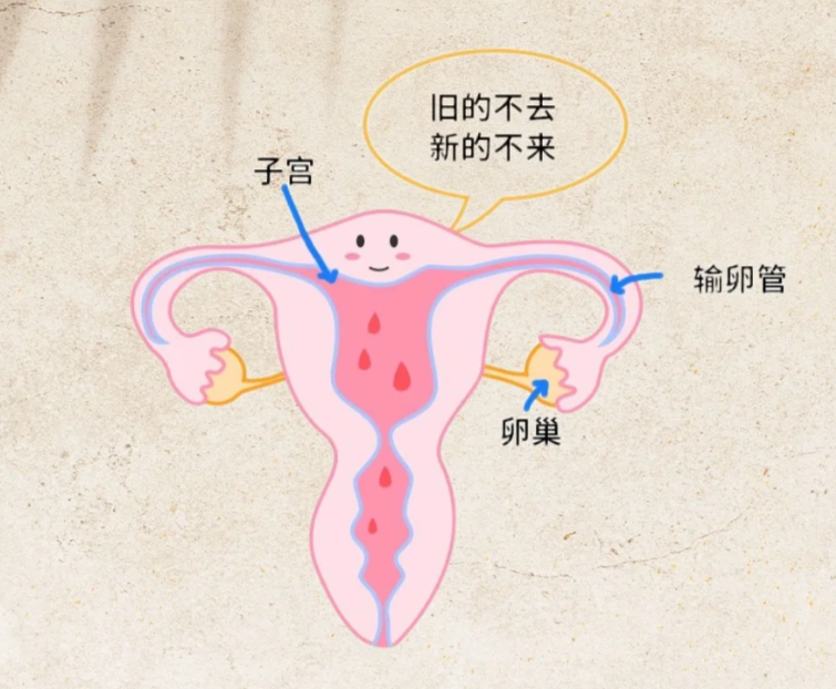 1766540121843274.png 微信图片_2025-12-24_093350_918.png
